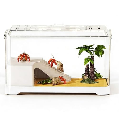 Aquarium de bureau pour tortue : terrarium transparent format XL