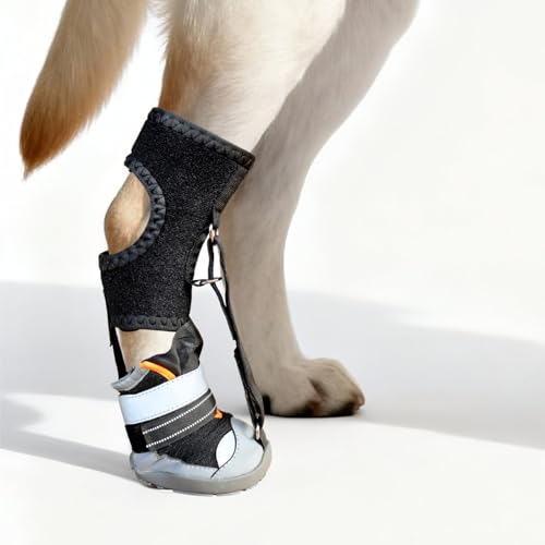Chaussures chien antidérapantes pour éviter les blessures aux coussinets - 4