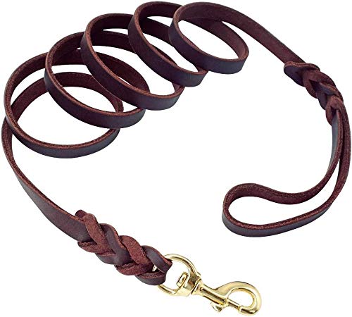 Berry Pet Leather Dog Leash - Training & Walking Braided Dog Leash - 5 ft by 1/2 in (160cm 1.2cm) - Latigo Leather Brown