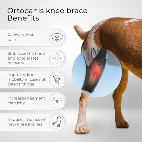 Ortocanis Dog Knee Brace for Torn Acl Hind Leg, Cruciate Ligament Injuries, Patella Dislocation or Osteoarthritis - Dog Acl Knee Brace - Dog Braces for Back Leg for Support (Medium, Left Leg)
