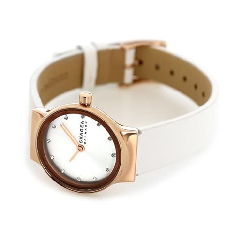 SKAGEN SKW3029 商品画像3