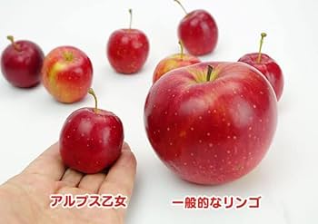 りんご Okryain換気扇150mm大風量ダクト用換気扇風量525m3/h排気セット