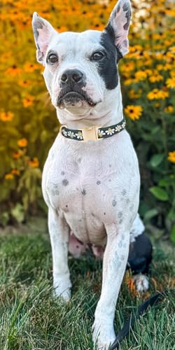 YUDOTE Hundehalsband aus weichem Cord mit Jacquard-Band, Hochwertig Gemustert Blumenmuster für große Hunde den täglichen Gebrauch, Grün