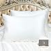MYK 100% Pure 30 Momme Mulberry Silk Luxury Pillowcase for Hair, Skin Care, OEKO-Tex Certified, Queen Size, Un-dyed Ivory White