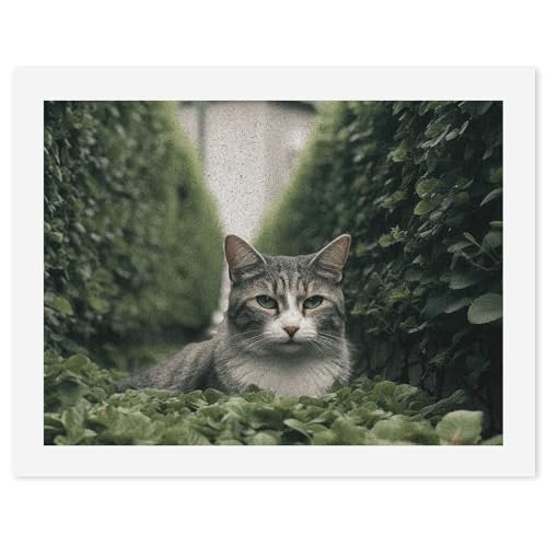 Peinture par numéros chat cadeau créatif adulte débutant toile STVNKML