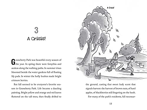 A Kitten in Gooseberry Park - Image 5