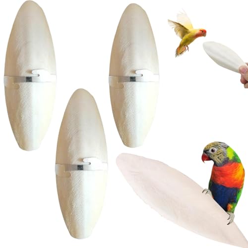 BAOSROY Hueso Sepia,Hueso Jibia,Hueso de Sepia para Pajaros,Hueso Jibia Pajaros,Hueso Jibia Loro,Hueso de Sepia para Tortugas,Hueso Jibia Natural Juguetes para Loro Masticar Caracoles,11-13cm