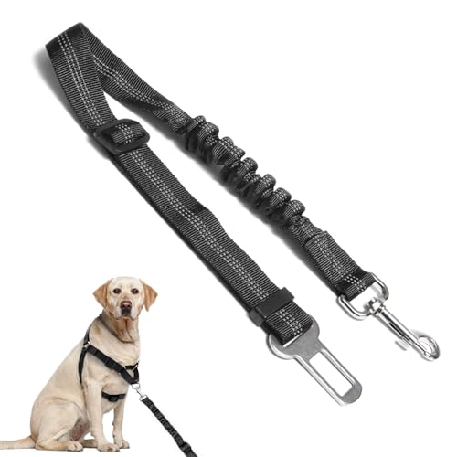 Anschnallgurt Hund Auto Verstellbar – Hundeanschnaller fürs Auto mit Elastischem Rückdämpfer, Nylon Sicherheitsgurt für Kleine und Mittelgroße Hunde, Passend für Alle Fahrzeugtypen, Schwarz