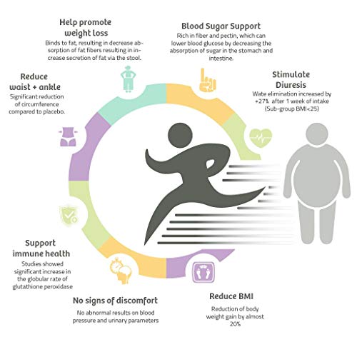 Organic Fair Trade Chocolate Oolong Fat Burn Latte For Healthy Weight Loss & Hunger Control, Plant-Based & Gluten-Free, 10 Pack #TOP4