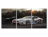 Black and White Pictures for Living Room White Racing Cars Wall Art Prints on Canvas Speed Sports Car Painting Modern Artwork Wall Decor for Mens Bedroom Office Bathroom Decor Ready to Hang 36