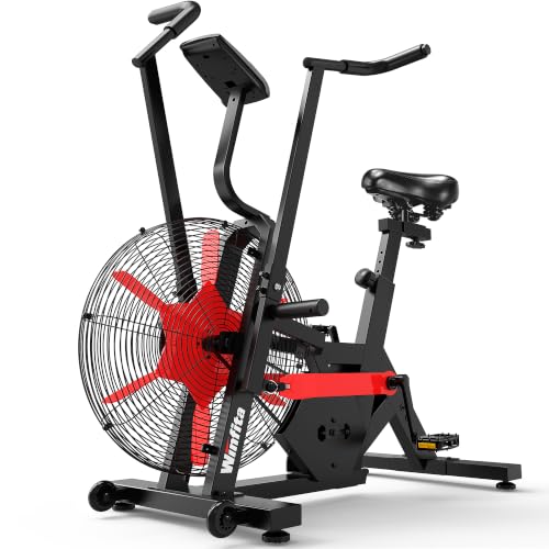 Winfita Air Fan Bike
