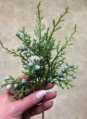 Factory Direct Craft Pack Of 12 Artificial Juniper Cedar Sprays With Berries - Christmas Greenery For Winter Indoor Or Outdoor Holiday Decorations #TOP2