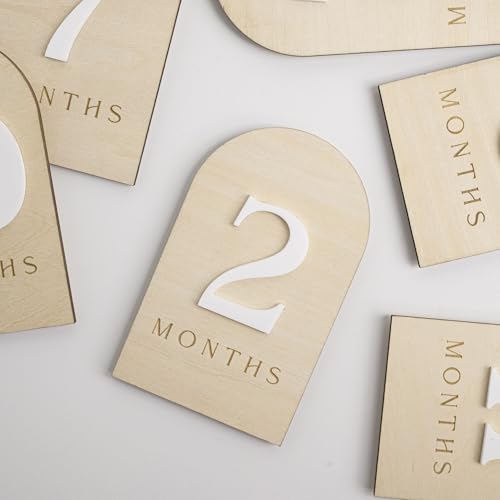 Image of Baby Monthly Milestone Photo Sign, Wooden Floral Design with Pink Bows, Baby Girl Growth Tracker, 1-12 Months (Arch)