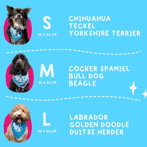 CoolPets Cooling Bandana - Hund Kühlung - Kühlung Halsband - Kühlendes Bandana für Hunden - Einfach zu bedienen - blau - Large