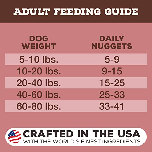 Primal Freeze Dried Dog Food Nuggets Turkey & Sardine 14 Oz, Complete & Balanced Scoop & Serve Healthy Grain Free Raw Dog Food, Crafted In The Usa #TOP6