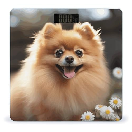 Báscula Digital de Baño con Diseño Pomeranian 400 lb