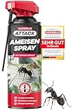 GEROBUG Ameisen-Spray 500ml - Ameisenspray für Innen & Außen mit Sofortwirkung - Ameisenmittel gegen Ameisen im Haus & Garten mit Langzeitwirkung