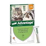 Advantage Soluzione Spot On per Gatti e Conigli Piccoli, 40 mg, 4 Pipette