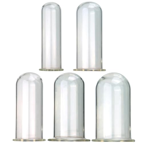 ZDJBFA Confezione da 5 Set di Tappi di Testa in Vetro Cavo Tunnel Anale Aperto Dilatatore Dell'ano Spina Cava Dildo Plug Anale Giocattolo del Sesso per Peep Plug Anale Vaginale