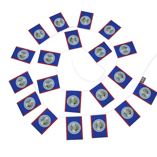 Image of AZ FLAG Belize 6 meters BUNTING Flag 20 flags 9'' x 6'' - Belizean STRING flags 15 x 21 cm