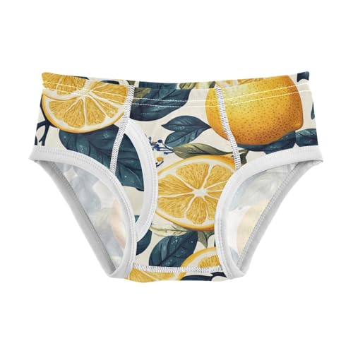 KLL Wood Lemons Toddler Boys' Comfort Underwear Cute Children Undies