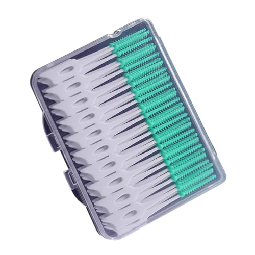 口腔洗浄フロス、つまようじフロッサー - 歯間フロッサーつまようじ | 女性、男性、ティーン向けの衛生フロッサー歯のクリーニングツール