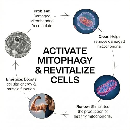 Image of Urolithin A 120 Capsules 99.9% Purity