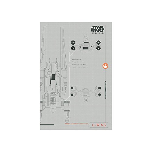 61 cm x 91,5 cm (61 x 91,4 cm) in dimensioni