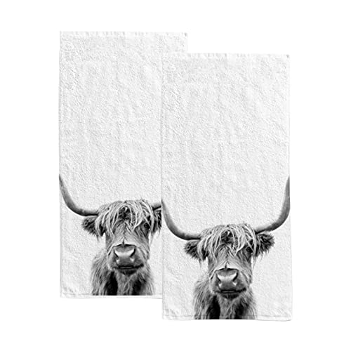 Vantaso Scottish Highland Cattle Fingertip Hand Towels 2 PCS Set Absorbent Bath Face Towels Soft Hair Drying Cloth for Bathroom Kitchen Gym Spa Quick Dry, 30