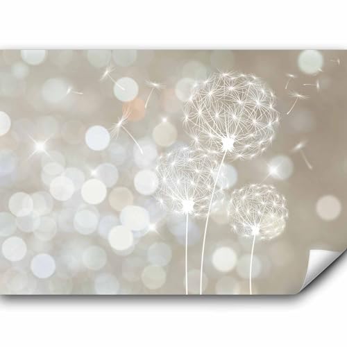 Papier peint murando panoramique artistique 350x256 cm - Revêtement mural décoration pour chambre salon - Design moderne - Blanc beige gris - Pissenlits fleurs nature plantes léger f-C-0040-a-b