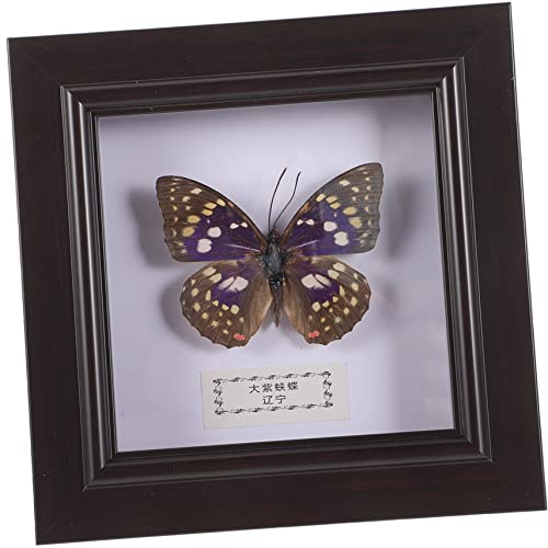 BUGUUYO Hanging Scroll Wall Art Butterfly Wall Hanging Vintage Butterfly Photo Display Frame Home Decor