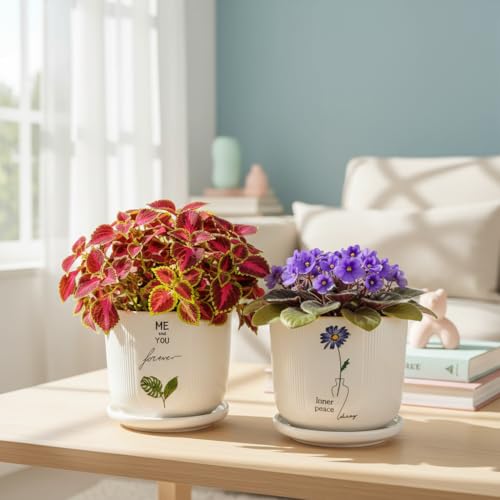 Image of Xtore Charming Printed Ceramic Planter Set of 2 with Drainage Trays | Artistic Indoor Plant Pots for Desk, Shelf & Gift Styling (Pack of 2 - Planter only)