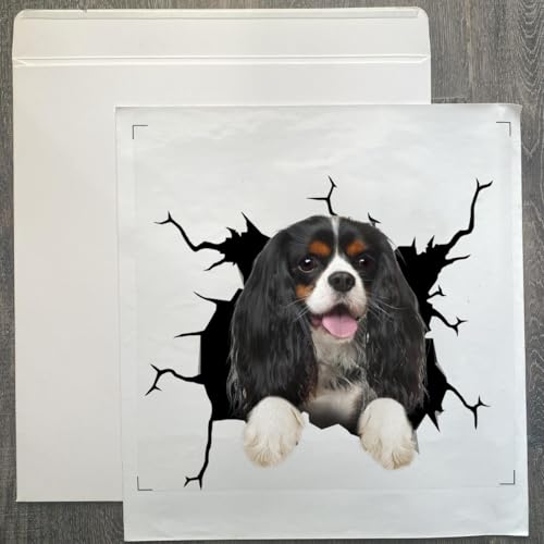 Image of Vinyl Car Decals for Women - Dog Stickers, Gift for Dog Lovers (Cavalier King Charles Stickers)
