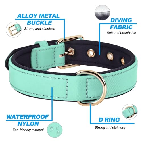Collar para Perro Pequeño Didog Soft Padded Verde S miniatura 5