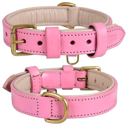 Image of Genuine Leather Dog Collar, Light Pink, Medium, Brass Buckle, Padded | 1 Inch Wide, Fit Neck Size - 14.5 inch - 18.5 inch, Double D Ring, Adjustable, Thick Leather, Heavy Duty, Soft Leather padding
