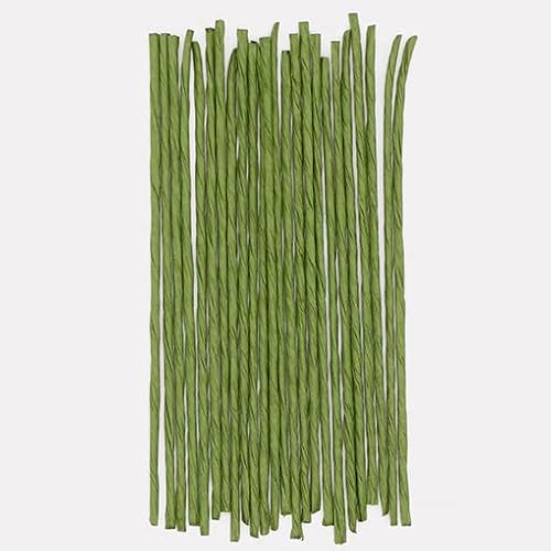 y[p[cCXg2×10cm O[ / 30{ xVX J\^CE[Ea^C