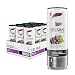 CELSIUS Sparkling Grape Rush Fitness Drink, ZERO Sugar, 12oz. Slim Can, 12 Pack