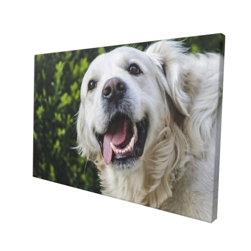 Impression moderne Golden Retriever tableau décoratif mural de 45 cm - 2