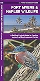 Fort Myers & Naples Wildlife (Nature Observation North America)
