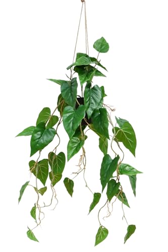 PrettyPlants Anthurium A-HP-A-105 - Planta colgante artificial, 95 cm