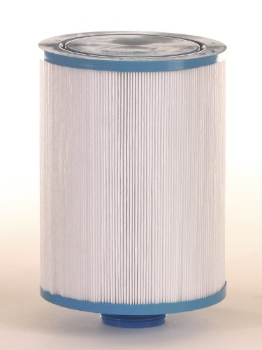 Filbur FC-3752 Antimicrobial Replacement Filter Cartridge for Intex 