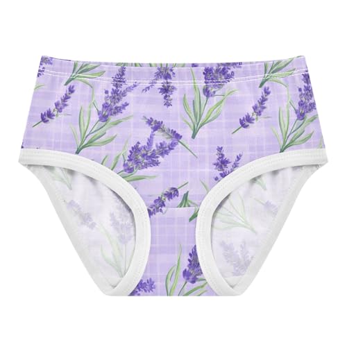 Joisal Animals Girls Underwear Toddlers 2t Cotton Girl Panties Cute Watercolor Lavender Plaid Light Purple Kids Briefs Undies