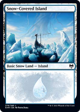 Amazon.com: Magic: The Gathering - Snow-Covered Island (278)