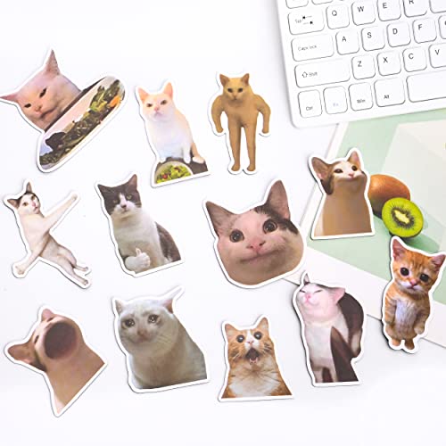 Imanes decorativos Pounchi Funny Cat (12 piezas) miniatura 7