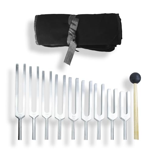 Solfeggio Tuning Forks for Healing Set of 11 Pcs with Mallet, Perfect for DNA Repair, Chakra Balancing, Sound Therapy(174Hz, 285 Hz, 396 Hz, 417 Hz, 528 Hz, 639 Hz, 741 Hz, 852 Hz, 963 Hz)