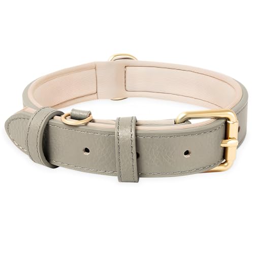 HEELE Hundehalsband Leder Hundehalsband mit gepolstert und echtes Leder, Verstellbar, Halsband für Welpen Kleine Mittel Große Hunde, Neu-Grau, S
