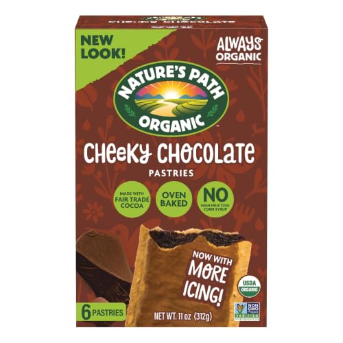Nature's Path Organic Lotta Chocolotta Toaster Pastries, 11 oz (Pack of 1)