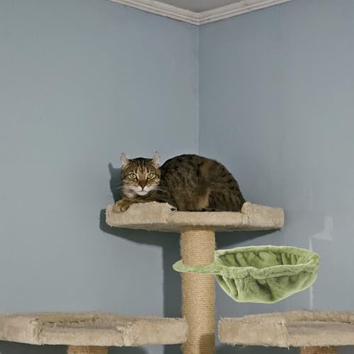 Hamac pour chat de rechange 33 cm en peluche verte pour arbre à chat - 7