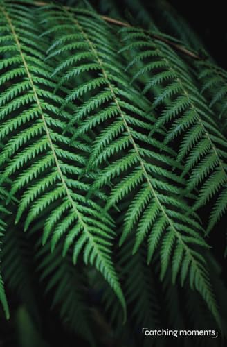 Image of Notebook / Diary / Journal "Fern" 100 pages by catching moments