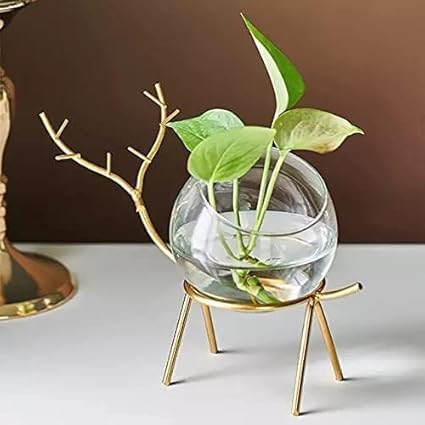 Gracious World Decorative Glass Planter Holder Deer Design | Round Glass Planter Pot Holder | Vase Pot | Glass Flower Vase For Decorate House | Set Of 1 (Color-Gold), 25 Centimeters